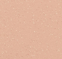 Линолеум Polyflor Polysafe Verona Pur 5216 Soft Peach фото 1 | FLOORDEALER